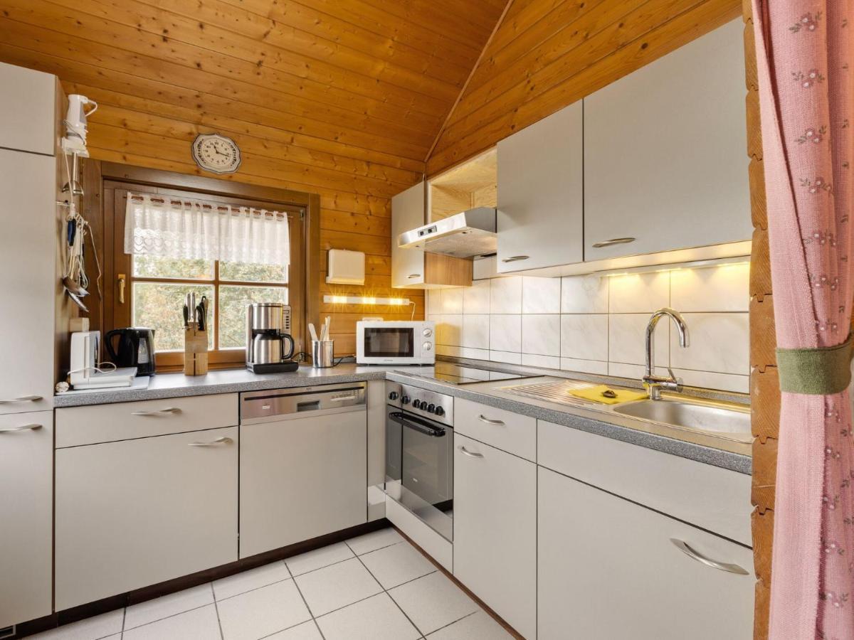 Chalet In Hinterrod Thuringia With Sauna Eisfeld Exteriör bild