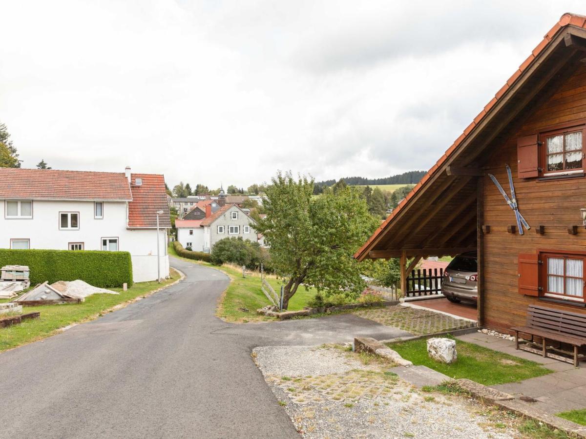 Chalet In Hinterrod Thuringia With Sauna Eisfeld Exteriör bild